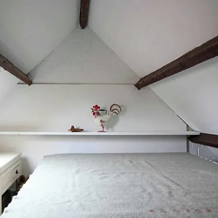 Cosy I * Castricum